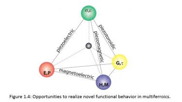 Opportunities to realise novel functional behaviour in multiferroics