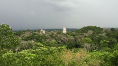 Maya Biosphere Reserve, Guatemala, 2017