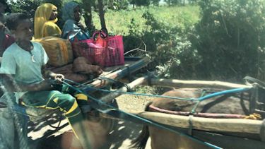 People travelling on a donkey cart