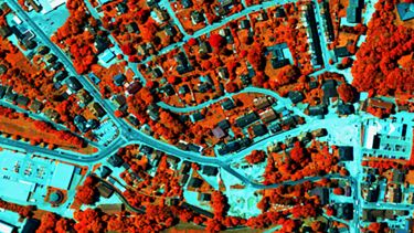 Airborne hyperspectral image of urban foliage using Norsk Elektro Optikk AS HySpex VNIR-1800