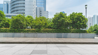 A walking path with trees in the background