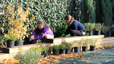 Pupils from Hunters Bar Infant School help plant the green barrier