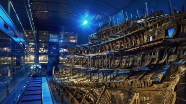 The remains of the Mary Rose on display in The Mary Rose Museum
