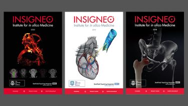 Collage of Insigneo brochure covers