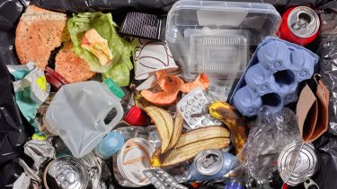 Plastic and food rubbish in a bin