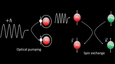Diagram of the physics of Spin Exchange Optical Pumping