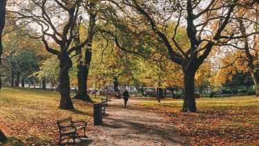 Weston Park in autumn