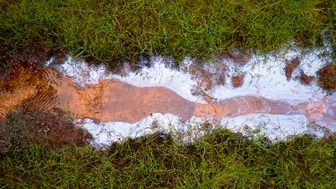 Brown-yellow liquid flows through grass lined channel