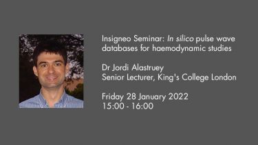 Insigneo Seminar graphic Alastruey talk details