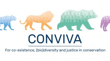 The CONVIVA logo