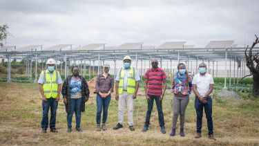 Researchers stood in front of agrivoltaic system