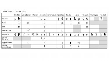 A chart showing the pulmonic consonants in the International Phonetic Alphabet