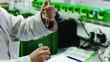 A biology student doing lab work. 