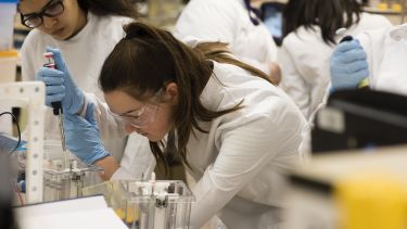 Student working on an experiment in the lab