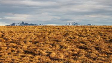 Tundra research site in Ivotuk, Alaska