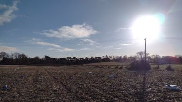 Photo showing sunset over our field site at Harpenden