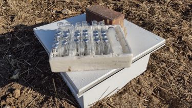 Image showing samples of glass test tubes at a field site