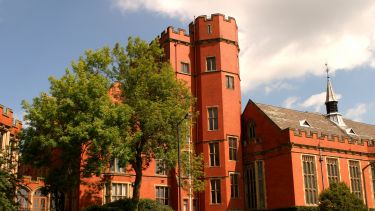 Ash tree outside Firth Court