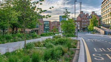 SuDS (Sustainable Drainage Systems) and Urban Drainage image