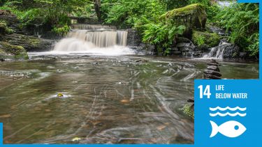 Sheffield river with SDG14 logo overlaid