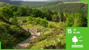 Peak District view with SDG15 logo overlaid