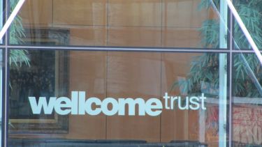 The image, titled "Wellcome Trust" by HowardLake is licensed under CC BY-SA 2.0 license (where author crediting is required). The image shows the Wellcome Trust logo embossed on a window of London HQ. Image sourced from: https://wordpress.org/openverse/image/b18c7a0c-e536-432b-9860-cdca1c434301