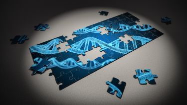 Puzzle DNA Research