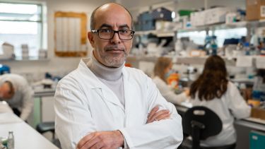 Prof. Mimoun Azzouz in lab