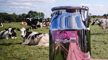 A photo of a milk churn and cows in a field
