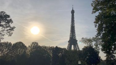 Park and Eiffel Tower over the trees in morning sun