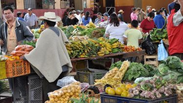 Farmer's Market in Arcabuco, Colombia