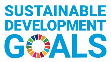 The logo for the sustainable development goals