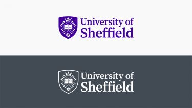 The University's primary logo white and violet