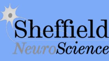 Sheffield Neuroscience
