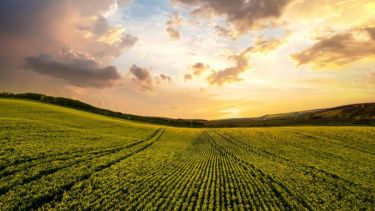 An open field with hills visible on the horizon.