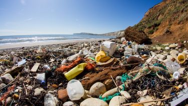 Plastic waste on a beach