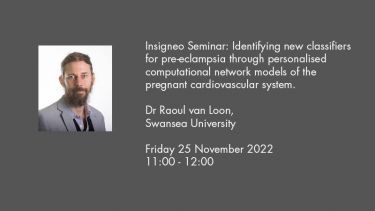 Insigneo Seminar title graphic Dr Raoul van Loon, Swansea University, Friday 25 November 2022, 11:00 - 12:00