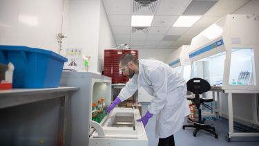 Researcher using lab equipment in the Gene Therapy Innovation and Manufacturing Centre