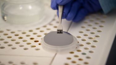 An antimony-based LiDAR sensor chip seen close up being handled in a lab