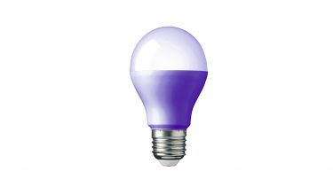 lightbulb