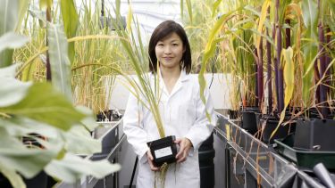 A student stands in a controlled environment surrounded by plants