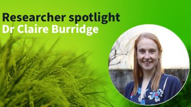 'Research spotlight - Dr Claire Burridge' A photo of Claire against the a closeup photo of grain crops. 