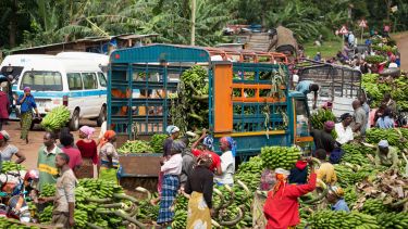 KEDA - Mwika market