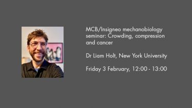 MCB/Insigneo mechanobiology seminar: Crowding, compression and cancer Dr Liam Holt, New York University  Friday 3 February, 12:00 - 13:00