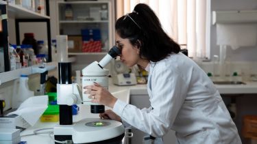 Researcher using the microscope