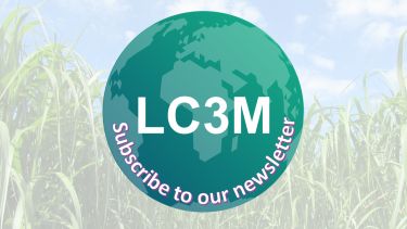 LC3M green globe with centre title on a feint grass background with the text 'subscribe to our newsletter'