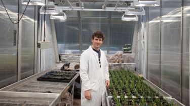 A person in a white coat in a laboratory with some plants