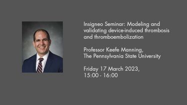 Insigneo Seminar graphic: Professor Keefe Manning, The Pennsylvania State University  Friday 17 March 2023, 15:00 - 16:00