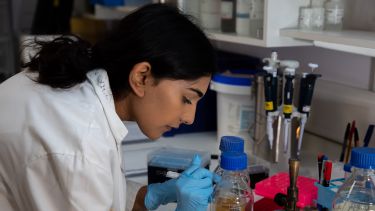 Student in white coat working in the reproductive medicine lab