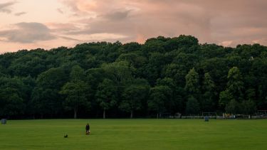 The green lawn area and trees of Endcliffe Park under a cloudy sunset